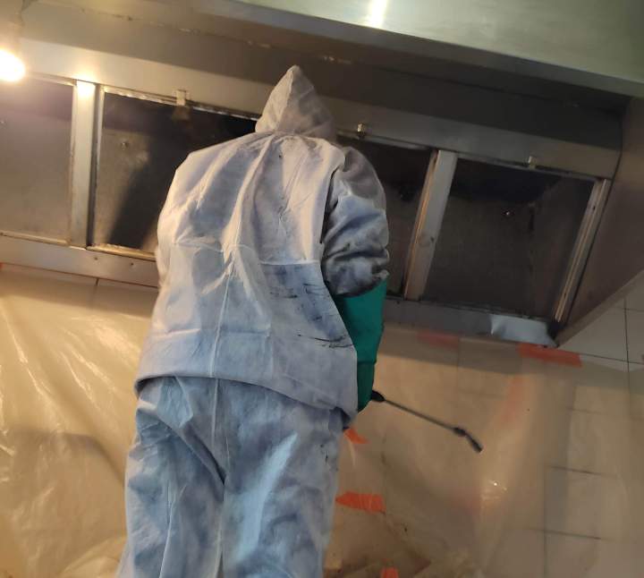 Traitement contre les insectes Bas-Rhin